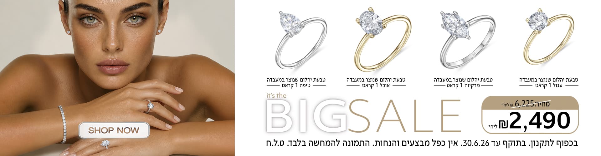 BIG sale_1920x500_new ring