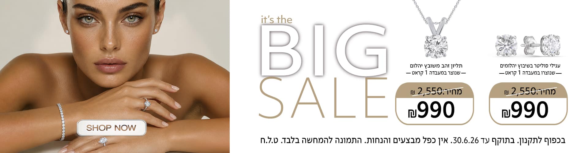 BIG sale_1920x500_new